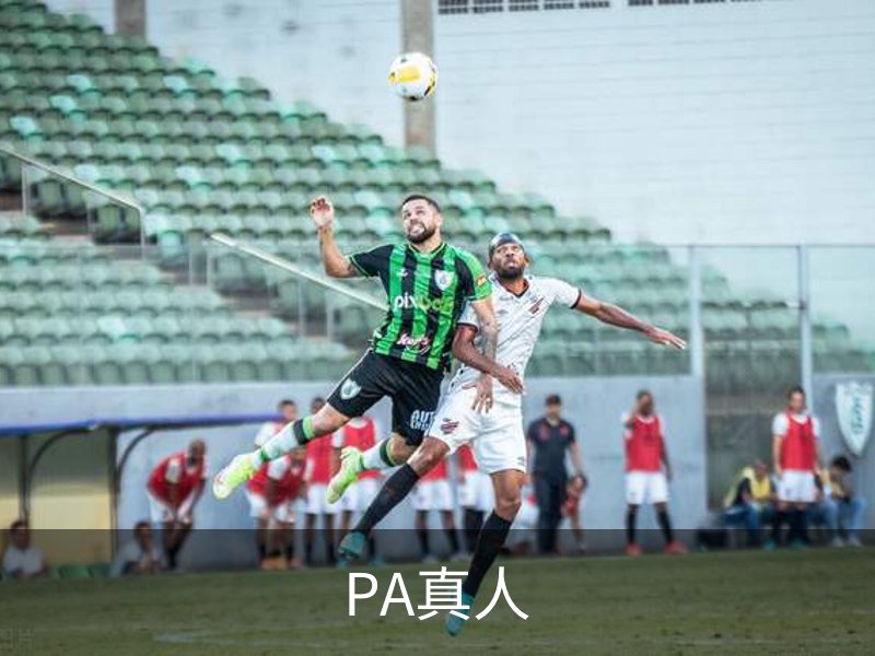 PA真人品牌故事